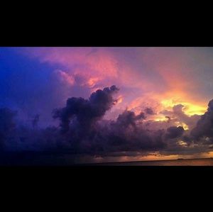 Meet your Posher, Claire